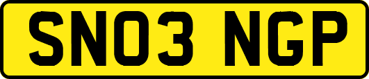 SN03NGP