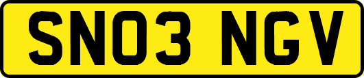 SN03NGV