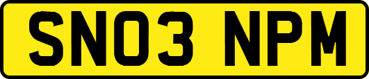 SN03NPM