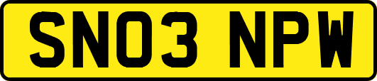 SN03NPW