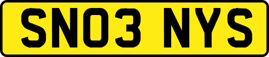 SN03NYS