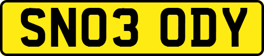 SN03ODY