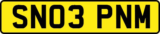 SN03PNM