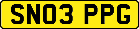 SN03PPG