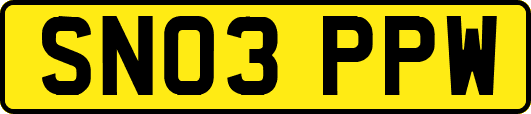 SN03PPW