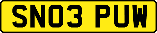SN03PUW