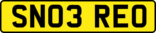 SN03REO