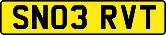 SN03RVT