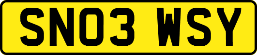 SN03WSY