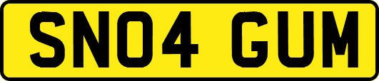 SN04GUM