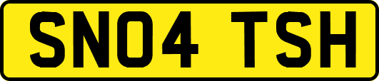 SN04TSH
