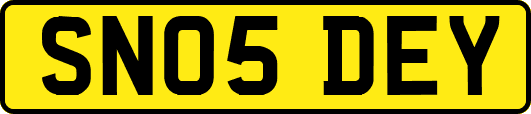 SN05DEY