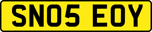 SN05EOY