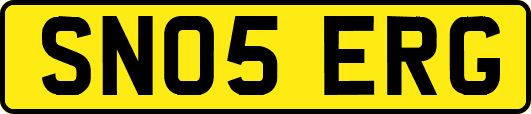 SN05ERG