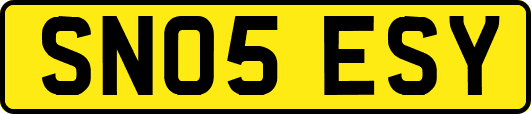 SN05ESY