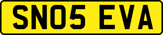 SN05EVA