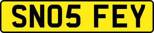 SN05FEY