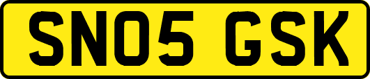 SN05GSK