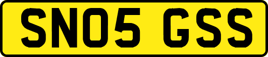 SN05GSS