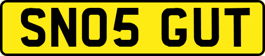 SN05GUT