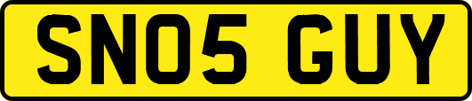 SN05GUY