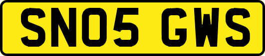 SN05GWS