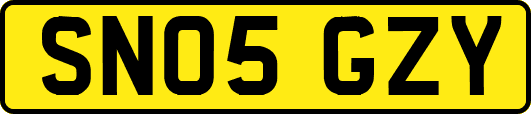 SN05GZY