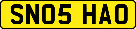 SN05HAO