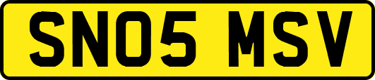 SN05MSV