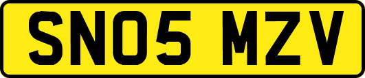 SN05MZV