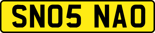 SN05NAO