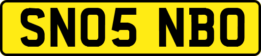 SN05NBO