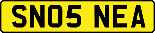 SN05NEA