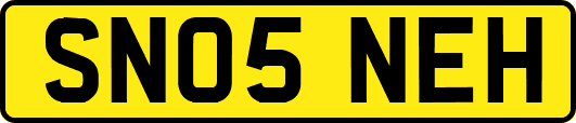 SN05NEH