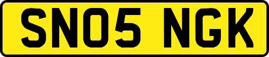 SN05NGK
