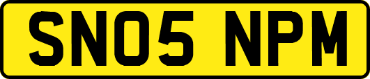 SN05NPM