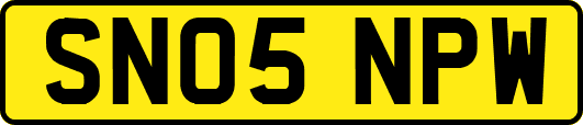 SN05NPW