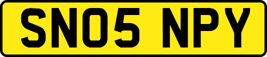 SN05NPY