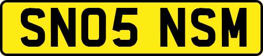 SN05NSM
