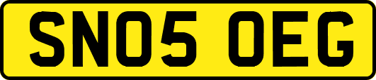 SN05OEG