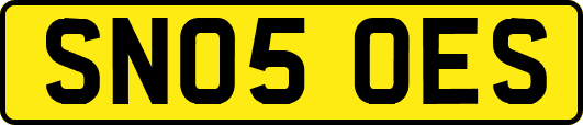 SN05OES