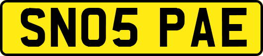 SN05PAE