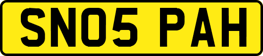 SN05PAH