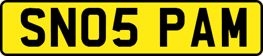 SN05PAM
