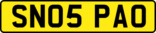 SN05PAO