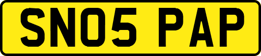 SN05PAP