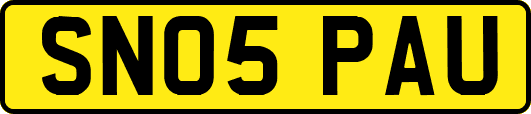 SN05PAU