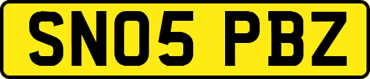 SN05PBZ