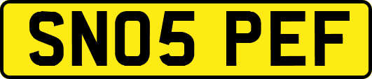 SN05PEF