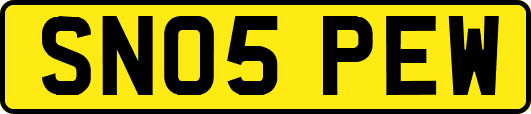 SN05PEW